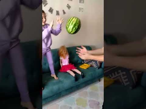 They couldn't find a ball at home!!! #shorts #explore