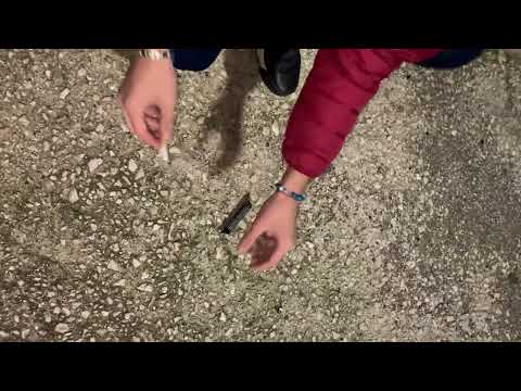 LUPO P1 MODIFICATO 6 GRAMMI 😍💥