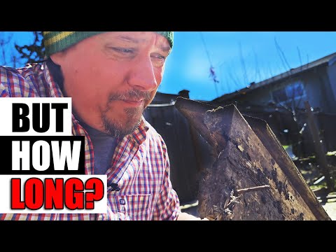 Growing Zucchinis The Right Way Part 1 of 3