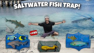 Saltwater FISH TRAP Challenge For EXPENSIVE Aquarium Fish!!