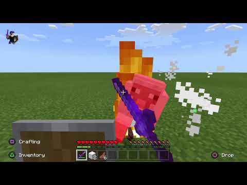 Will the Ender Dragon fight The Wither?!Ender dragon Vs The Wither.Minecraft