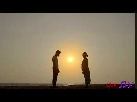 Mage hewanella wage idan..මාගේ හෙවනැල්ල වාගේ ඉදන්..🎵🎶