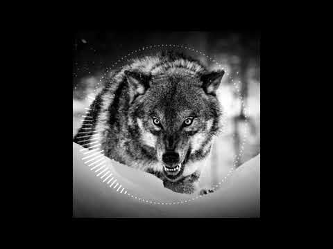 POPOK X NALI - MISTER V X DOSSEH X PLK TYPE BEAT 2020 "WOLVES"