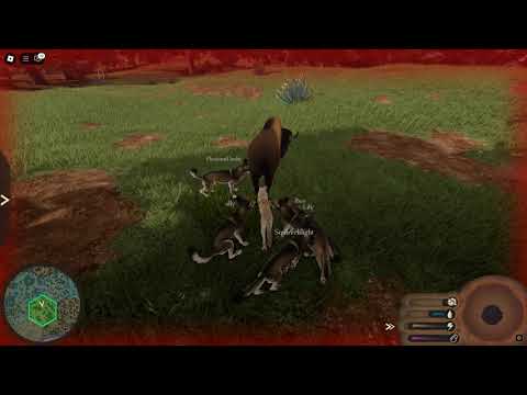 Dire wolf pack vs Bison [ Ecos La Brea ]