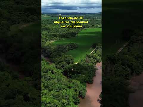 Fazenda de 36 alqueires a venda em Caiapônia - GO