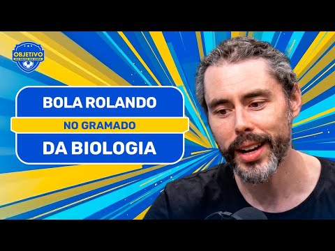 YouTube com episódio sobre a Copa