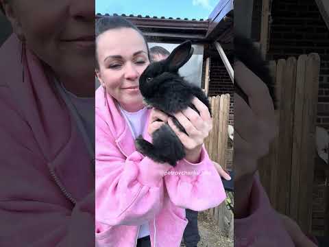 #жизньзагородом #деньвдеревне #буднифермера