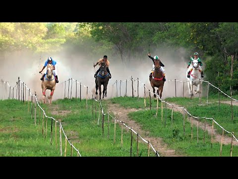 CORRIDA DE CAVALOS - Parque Nossa Senhora da Vitória - Lagoa Redonda - Campinas do Piauí 