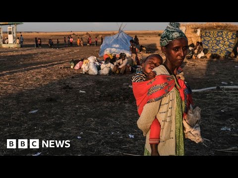 Ethiopian civil war leads to thousands of children's deaths through malnutrition - BBC News