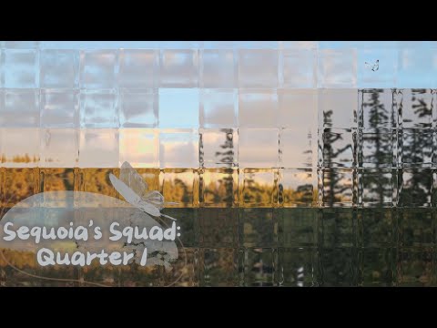Sequoia Squad-SEM101 Final