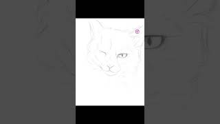 Support fellow artist! A reel from Insta #procreate #art #timelapse