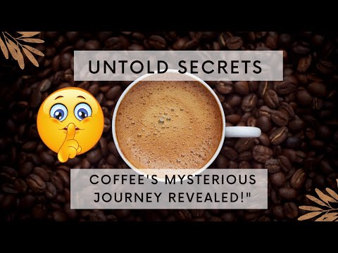 Brewing Brilliance: The Art and Science of Coffee Roasting and Brewing