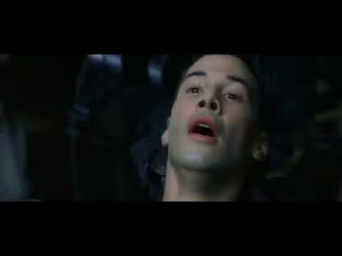 Olo ZRW X Kalimari - W izolacji