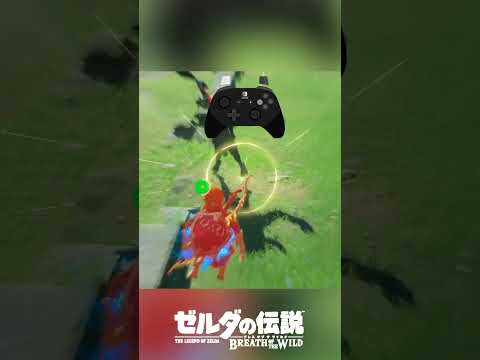 これは『ゼルダの伝説 ブレス オブ ザ ワイルド2』の物語ですか?