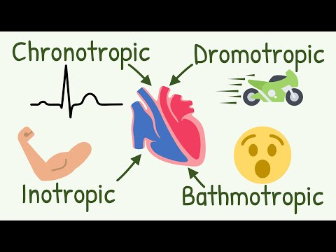 Chronotropic, Inotropic, Dromotropic, Bathmotropic Actions Explained || Cardiac Tropism