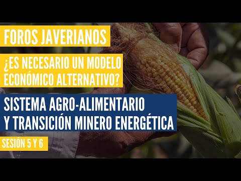 , title : 'Sistema Agro-alimentario y transición minero energética - Foros Javerianos'