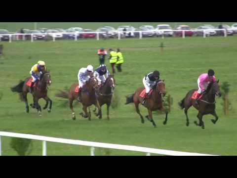 BR, 22. 4. 2017, 4. dostih - Cena dostihové stáje QUARTIS - ZÁMECKÝ VRCH II.oddělení