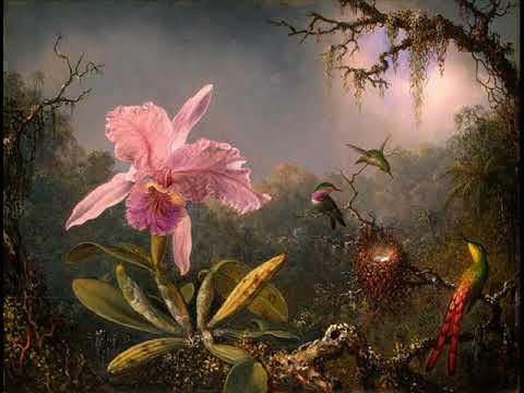 Miramare - Miramare: Jaro a mír (70 taktů pro Jaromíra Helešice)