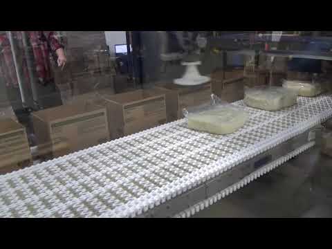 59670 BluePrint Automation Spider 100v Case Packer