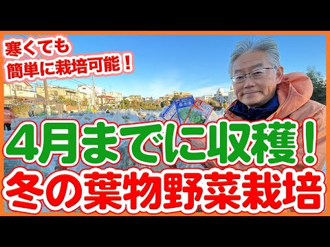  4月に種や植物から植える野菜は何ですか？この小さなガイドはあなたの失望を救うでしょう!  庭園