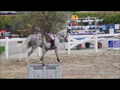Cowboy Van Overis Z - Show Video