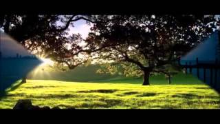 si tu quisieras - los temerarios con letra