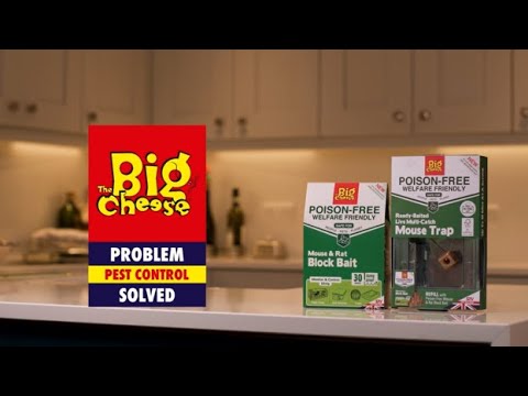 The Big Cheese Poison-Free STV201, STV202 SKU 'In Store'