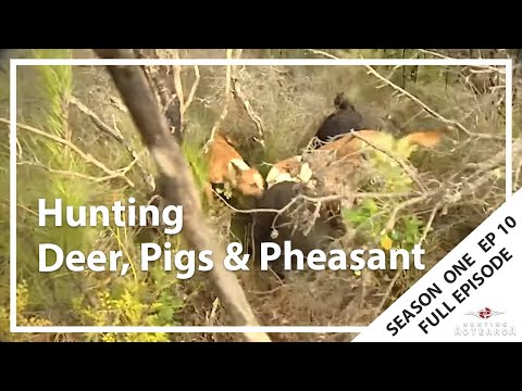 Hunting Aotearoa S01E10 - Hunting Deer, Pigs & Pheasant