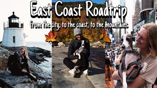 U.S. East Coast Roadtrip | Fall Roadtrip | traveling with our whippet | car camping
