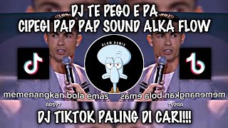 Download lagu DJ TE PEGO E PA CIPEGI PAP PAP SOUND ALKHA FLOW | BY ANGGA RMX VIRAL DI TIKTOK 2024!!!🔥🤤 mp3