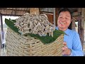 ครัวป่าไผ่ เมนูตัวอ่อนต่อ ห้ามขาดผ�