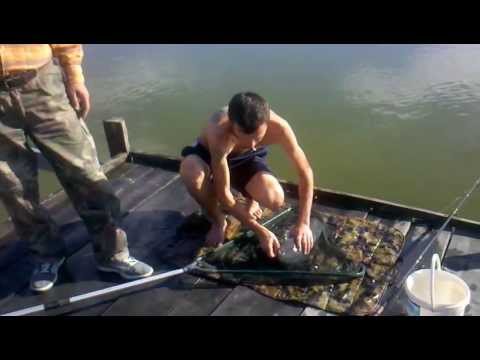 Iron somn 3-50kg La Stuff  boghis.mp4