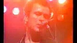 The Stranglers - Let Me Introduce You To The Family Live &#39;81