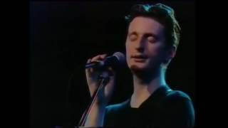 Billy Bragg - Tender Comrade