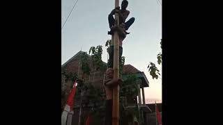 Download lagu lomba panjat pinang lucu celana melorot mp3 Download lagu lomba panjat pinang lucu celana melorot mp3