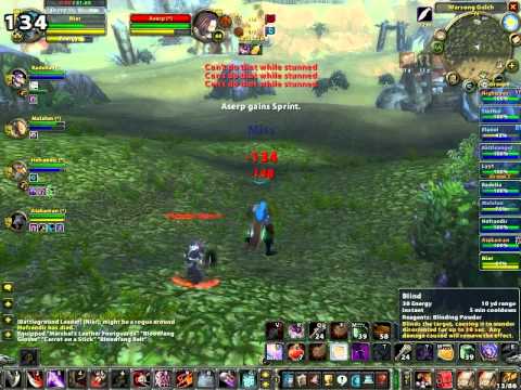 Niar - Xmas Pain Rank 14 Rogue (1 of 2)