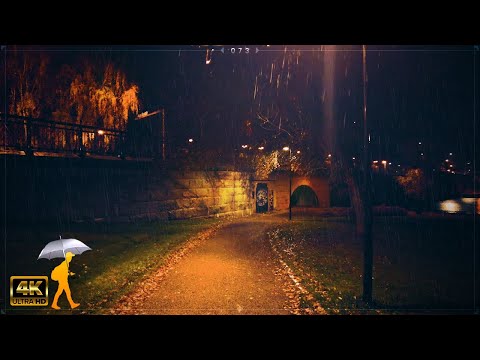Thumbnail for Rain Walk in the Dark of the Night 🌧️ Hämeenlinna, Finland by The Karelia