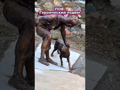 КОТОМАНИЯ🐱 Героический подвиг🐕