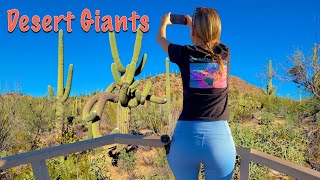 Desert Giants: Saguaro National Park | Truck Camper Living | RV Life | DestinatioNow S5 Ep89
