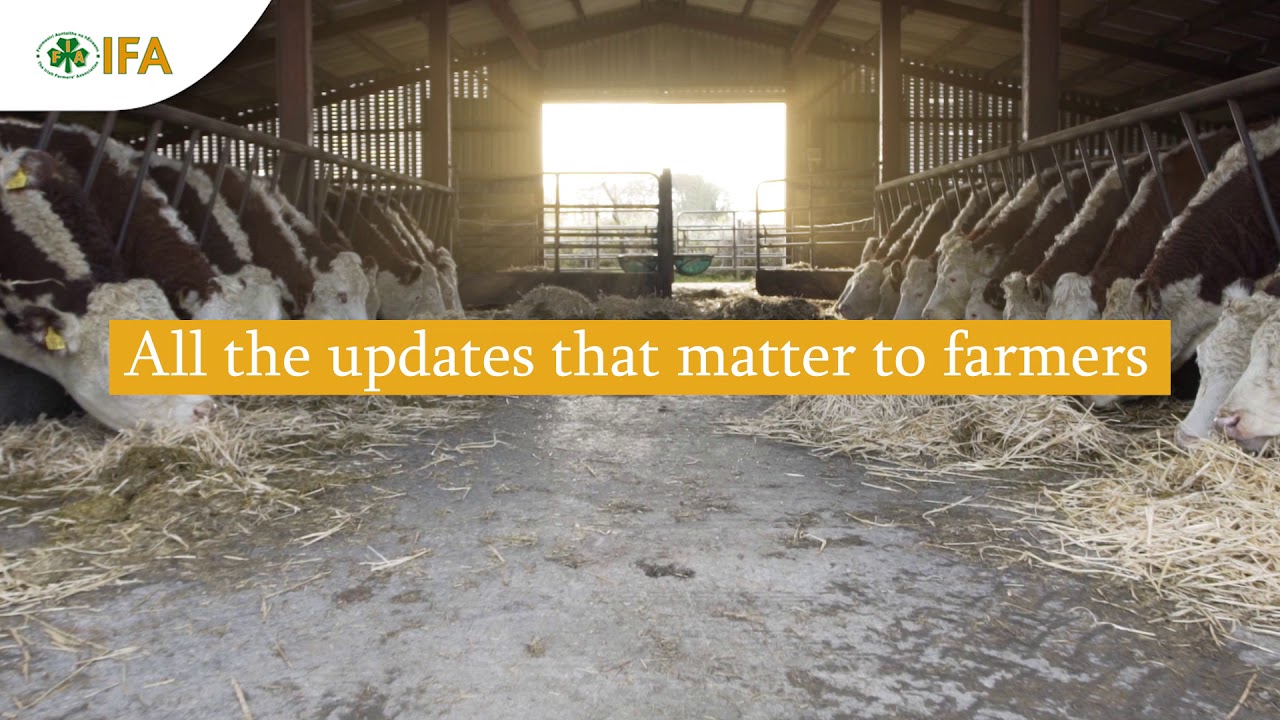 Updated IFA.ie