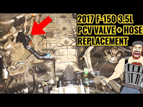 Austausch des PCV-Ventils und des PCV-Schlauchs beim Ford F-150 3.5L (Baujahr 2017)