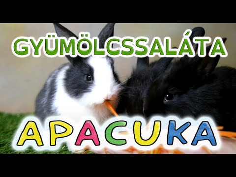 Apacuka Zenekar feat. Buda Gábor (Alma együttes) - Gyümölcssaláta