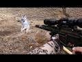 FACE TO FACE WITH 15 AGGRESSIVE PREDATORS The Best Close Range Coyote Hunts In 4k