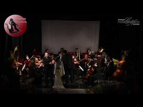 CONCERTO DI CAPODANNO- Toreador