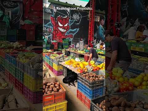 Plaza de mercado Garagoa Boyacá. #viral #garagoa #plazagaragoa