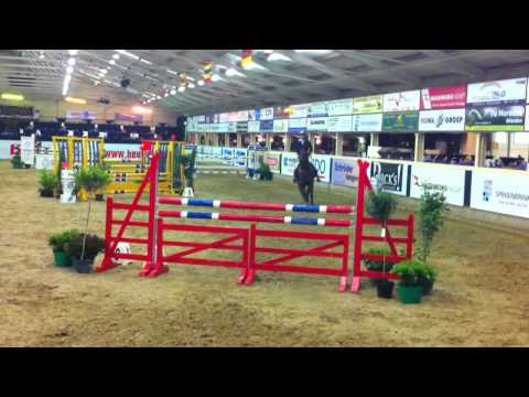 Amore RZ Tampa x Calvados Bruine ruin 2005