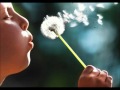 Life is Beautiful - Vega 4 