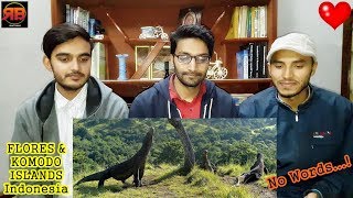 Foreigner Reacts To: FLORES &amp; KOMODO ISLANDS | Indonesia