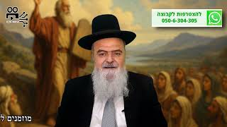 הגאון הרב אהרון בוטבול - הלכה יומית - י"ד אב התשפ"ה - פרשת ואתחנן: מהו המקור לשמחה הגדולה בט"ו באב? (הרב אהרון בוטבול) - התמונה מוצגת ישירות מתוך אתר האינטרנט יוטיוב. זכויות היוצרים בתמונה שייכות ליוצרה. קישור קרדיט למקור התוכן נמצא בתוך דף הסרטון הגאון הרב אהרון בוטבול - הלכה יומית - י"ד אב התשפ"ה - פרשת ואתחנן: מהו המקור לשמחה הגדולה בט"ו באב? (הרב אהרון בוטבול) - התמונה מוצגת ישירות מתוך אתר האינטרנט יוטיוב. זכויות היוצרים בתמונה שייכות ליוצרה. קישור קרדיט למקור התוכן נמצא בתוך דף הסרטון