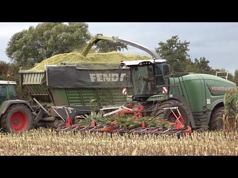 Maisernte 2025  mit Fendt Katana 85 - 4 Silos - 2 Einsätze (Sound)